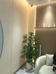 -YESIDO椰岛美容