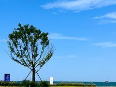 -巧克力渔家.小船海鲜家常菜(万平口店)