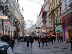 -斯蒂芬主教座堂(Stephansdom)