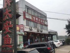 -y牌太安鱼