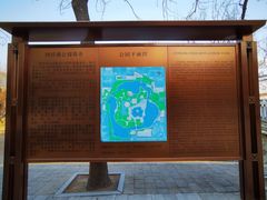 -团结湖公园