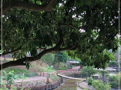 -泉州海丝野生动物世界