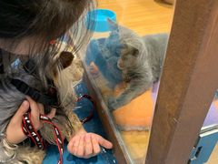 -龟与熊猫宠物公园(南坪店)