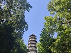 -灵谷景区
