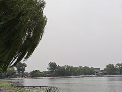 -小王府(什刹海店)