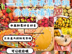 -新鸿港水果市场