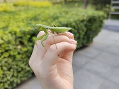 -南海子公园