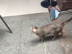 -鱼乐岛餐厅·户外花园主题餐厅