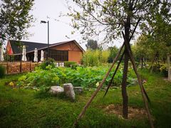 -中家鑫园温泉酒店鑫悦汤泉