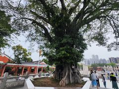 -揭阳学宫(榕城区)