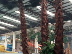 -南宫温泉水世界