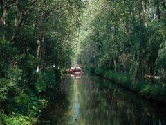 -合肥滨湖国家森林公园