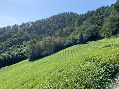 -敬亭山风景名胜区