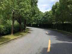 -上海佘山世茂艾美酒店