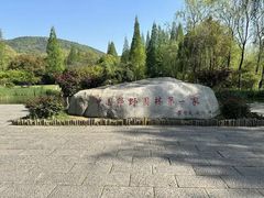 -习家池
