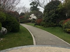 -桃花岛景观公园
