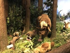 -陕西自然博物馆