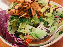 -ELI FALAFEL Lebanese&Mediterranean黎巴嫩美食(富城路店)