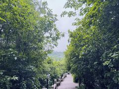 -狼山风景名胜区