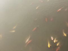 -襄阳烈士陵园(襄城区)
