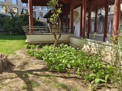 -亮马河饭店翠雅咖啡厅