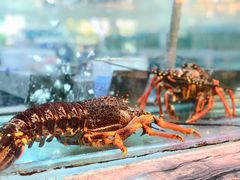 -海逸海鲜酒家(古北店)