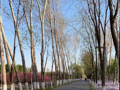 -东郊湿地公园