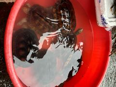 -永汉农贸综合市场