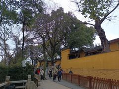 -灵岩山风景区