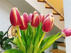 -森野花艺培训·企业团建活动沙龙