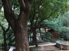 -南长河公园