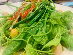 -巴依老爷新疆美食(望京小街店)