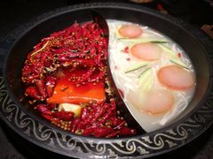 -锅说大脸毛肚重庆老火锅(佐阾店)