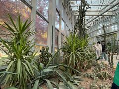 -郑州植物园