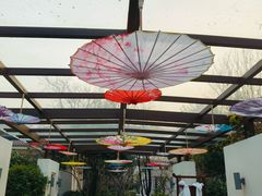-苏州湾·王焰温泉