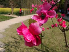 -常德桃花源景区