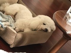 -茉沏(相城天虹店)