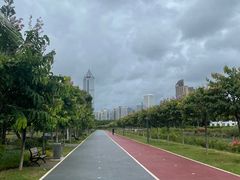 -万绿园