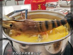 -朱富贵火锅(金融街万达店)