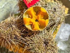 -原志优秀食材·匠心料理·海胆主题(金亿广场店)