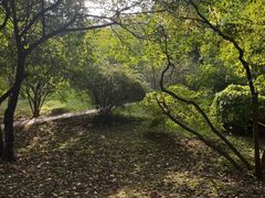 -黑龙江省森林植物园