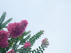 -杭州城北体育公园