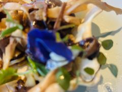 -蒙料·手把肉(望京店)