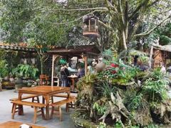 -青城甲(青城山店)