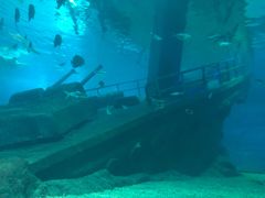 -福州罗源湾海洋世界旅游区