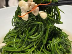 -蒙料·手把肉(望京店)