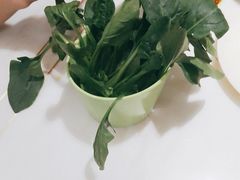 -大风歌海鲜烧烤火锅自助餐厅