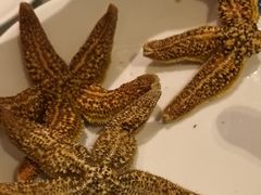 -长沙三景韦尔斯利酒店·Oval全日制餐厅自助餐