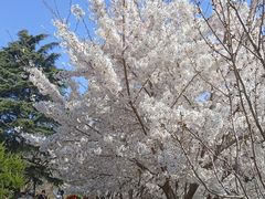 -北岭山森林公园