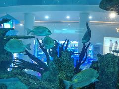 -乐从天佑城海洋馆